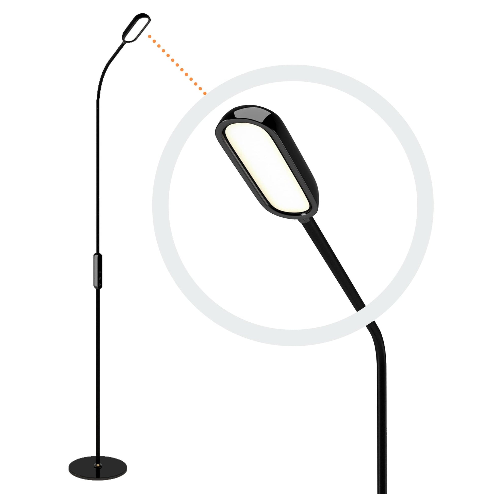 Gooseneck LED Floor Lamp